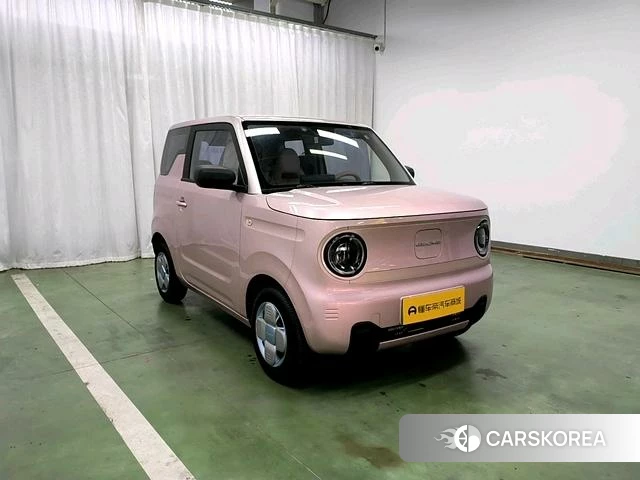 Geely Galaxy panda id 4211457 из Китая 20
