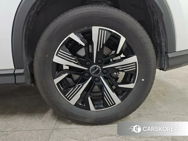 BYD Sea Lion 05DM id 3969098 из Китая 20