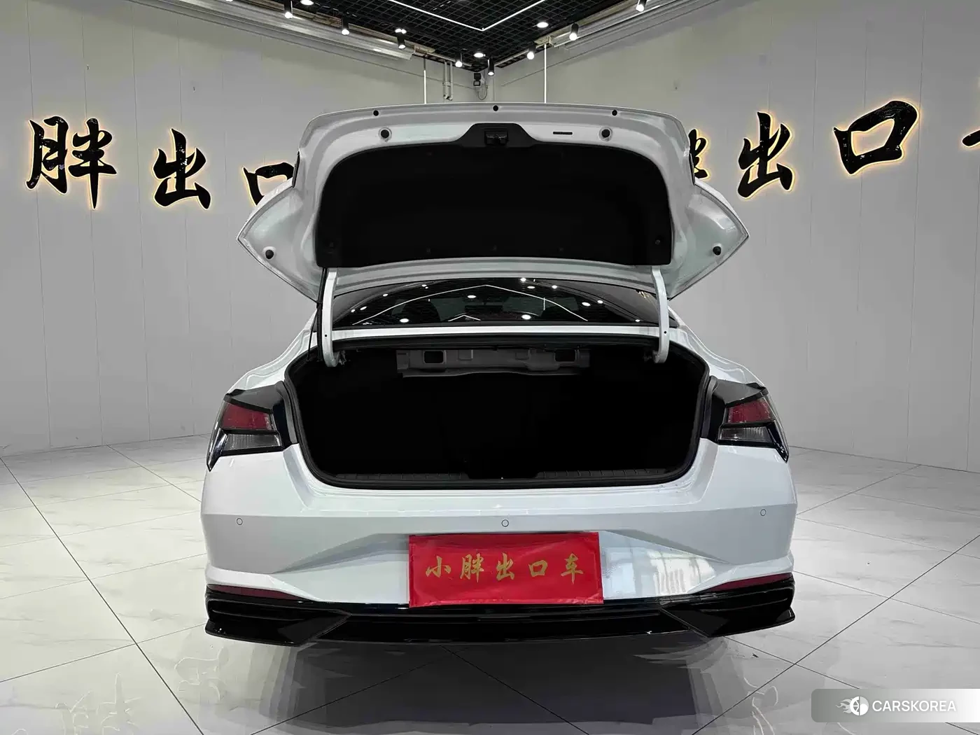 Hyundai Elantra id 4659720 из Китая 20