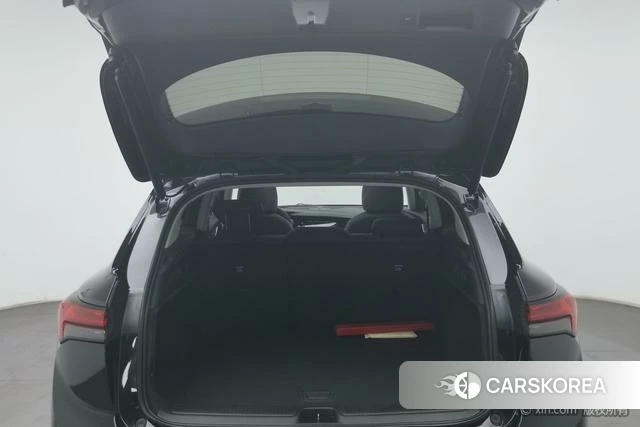 Buick Angkewei S id 4210149 из Китая 24