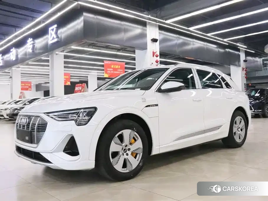 Audi e-tron id 4680668 из Китая 20