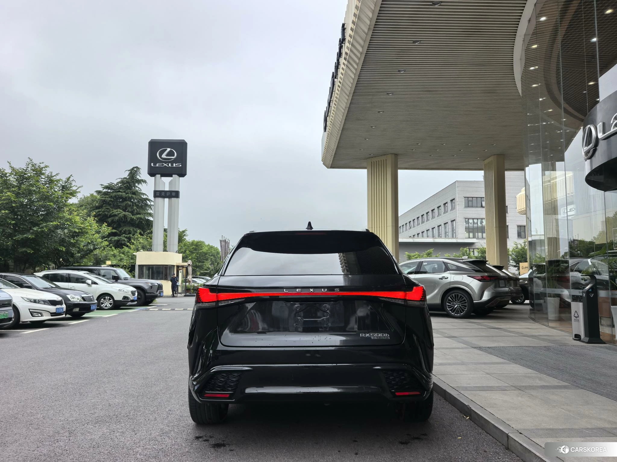 Lexus RX id 4420211 из Китая 18