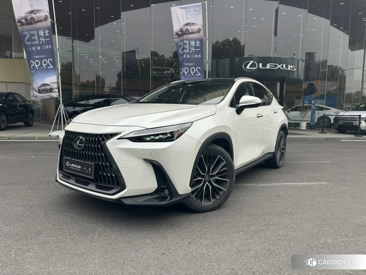Lexus NX id 4467472 из Китая 13