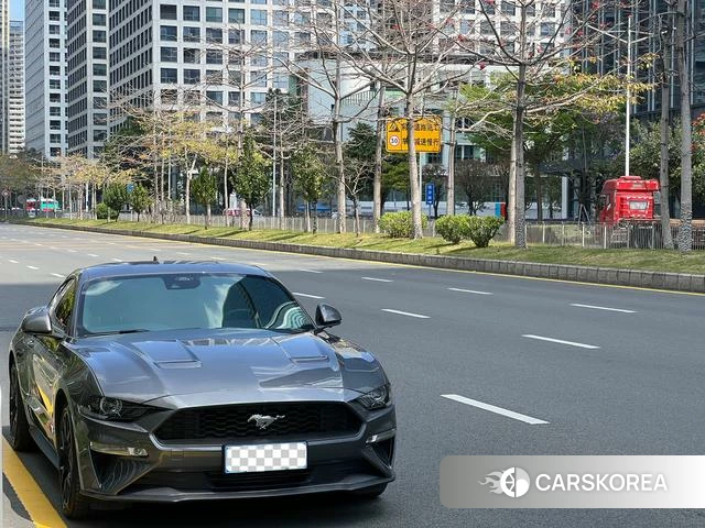 Ford Mustang id 3993829 из Китая 16