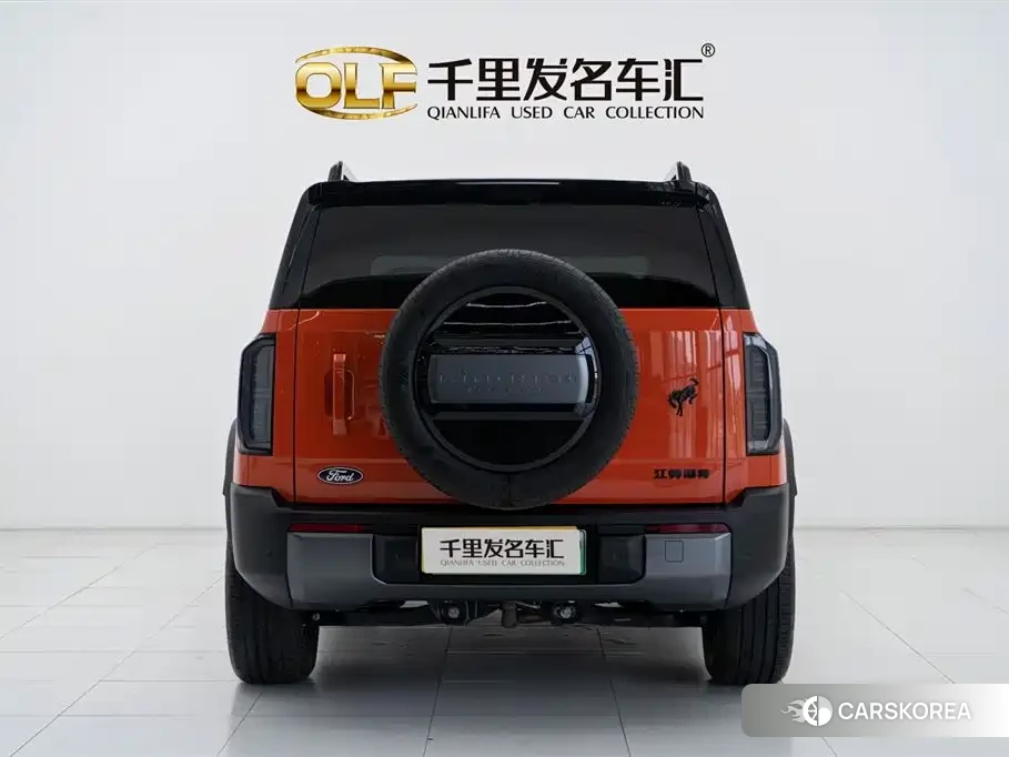 Ford Smart Fun Horse id 4514316 из Китая 22