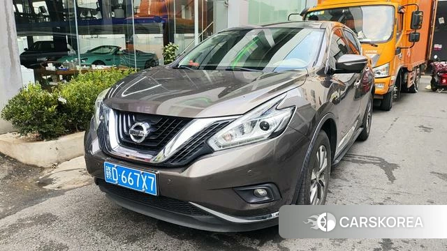 Nissan Loulan id 4238976 из Китая 10