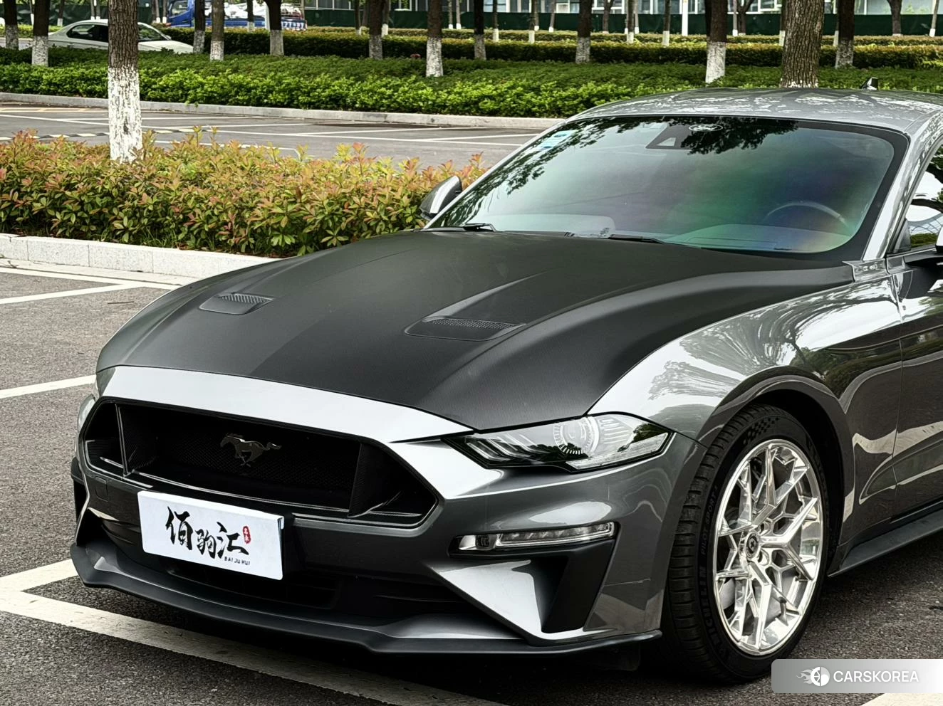 Ford Mustang id 4419140 из Китая 14