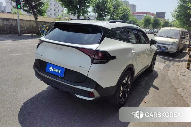 Kia Lion Platinum expands the world id 4262402 из Китая 17