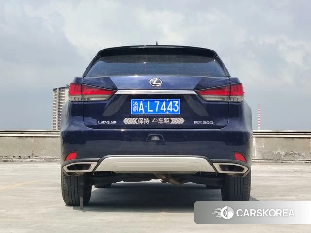 Lexus RX id 4273745 из Китая 20