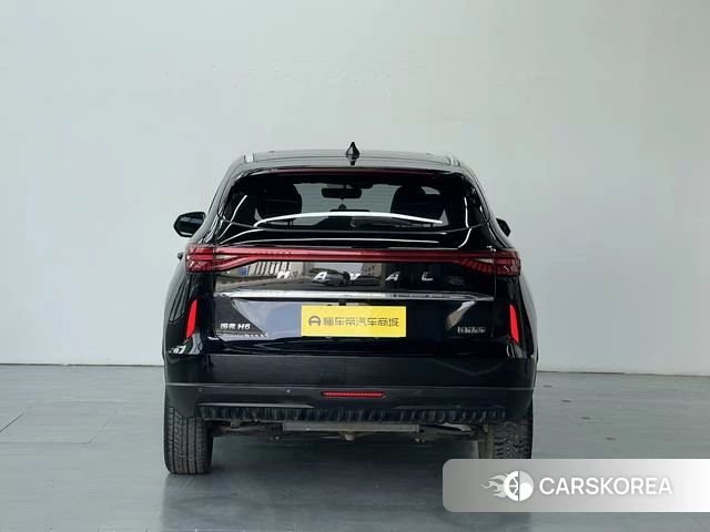 Haval H6 id 4253401 из Китая 20