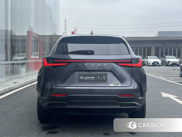 Lexus NX id 4307782 из Китая 11
