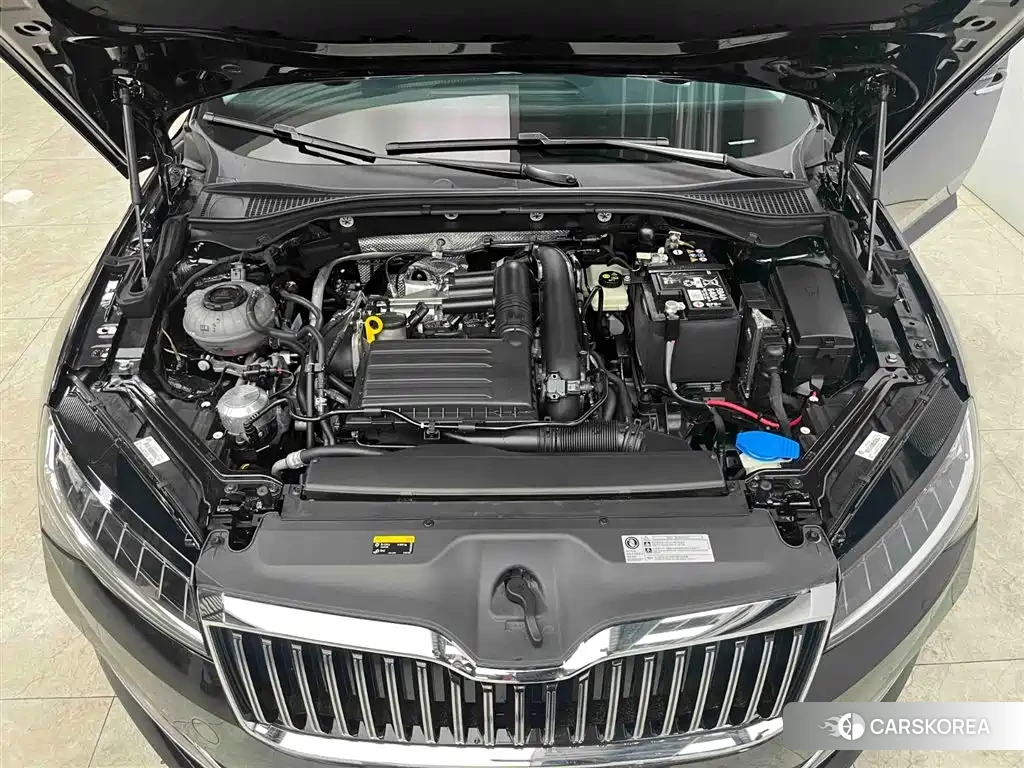 Skoda Speed pie id 4515526 из Китая 25