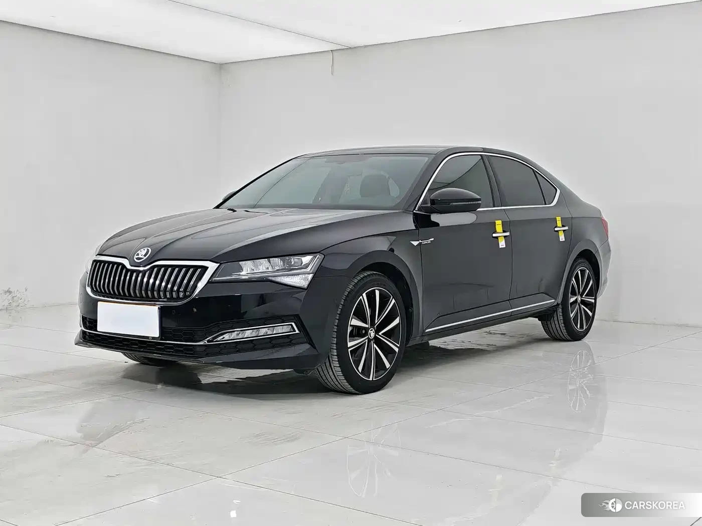Skoda Speed pie id 4539013 из Китая 23