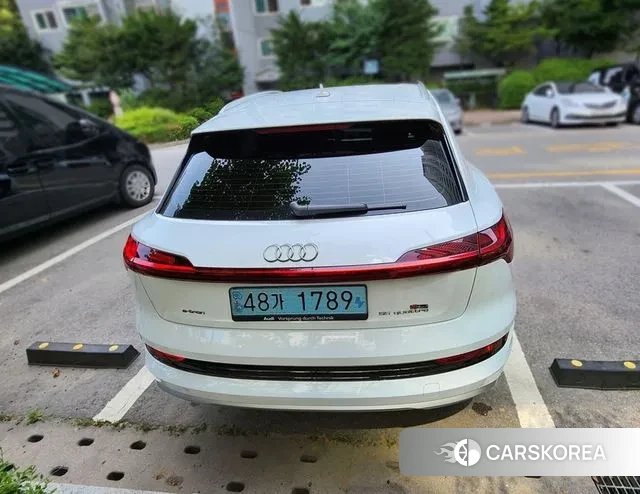 Audi e-Tron id 3630383 из Кореи 19