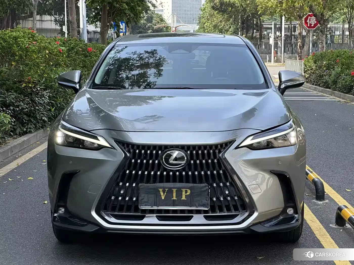 Lexus NX id 4546208 из Китая 13
