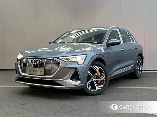 Audi e-tron id 4259095 из Китая 19