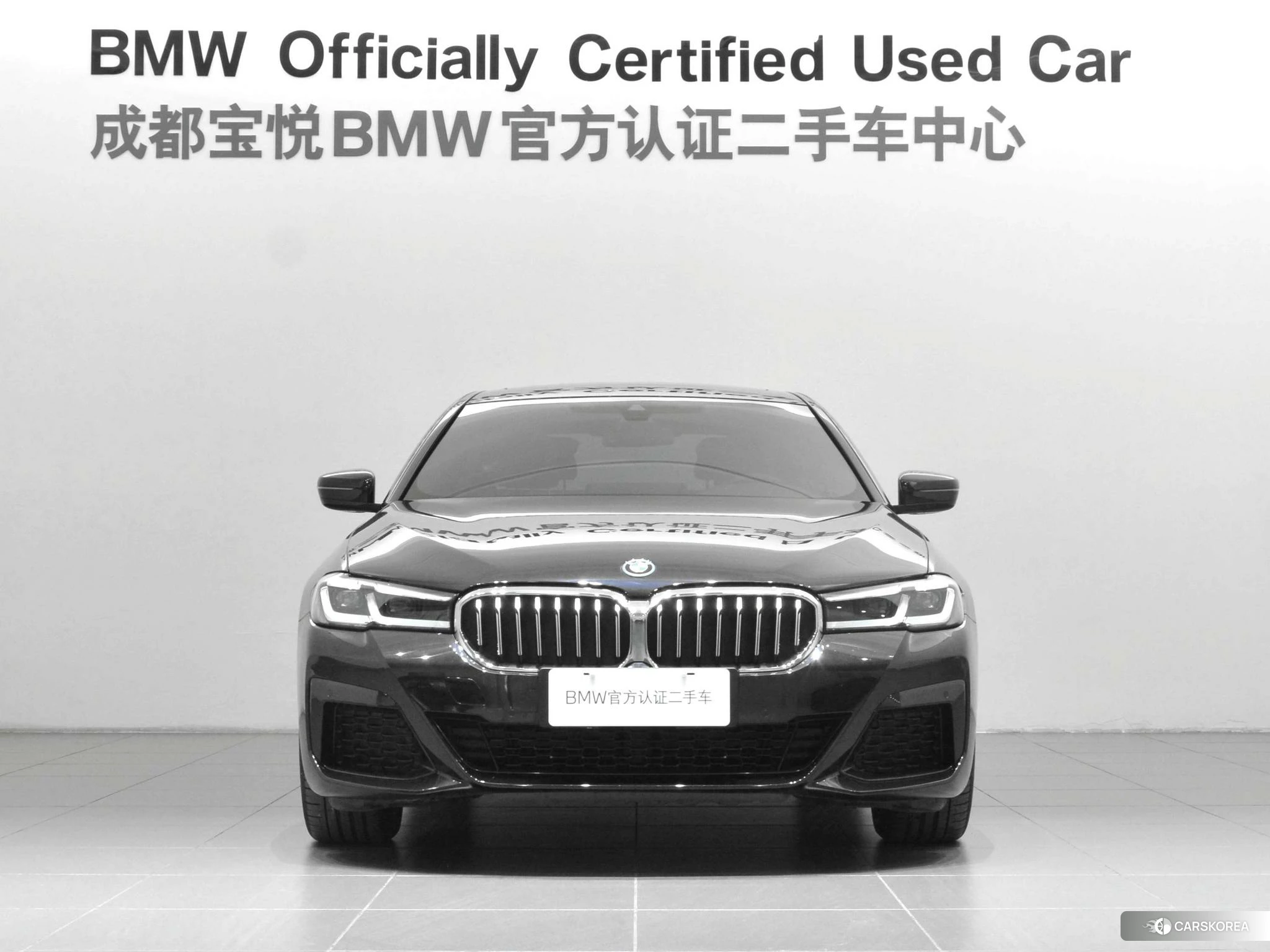 BMW 5 series PHEV id 4512812 из Китая 15
