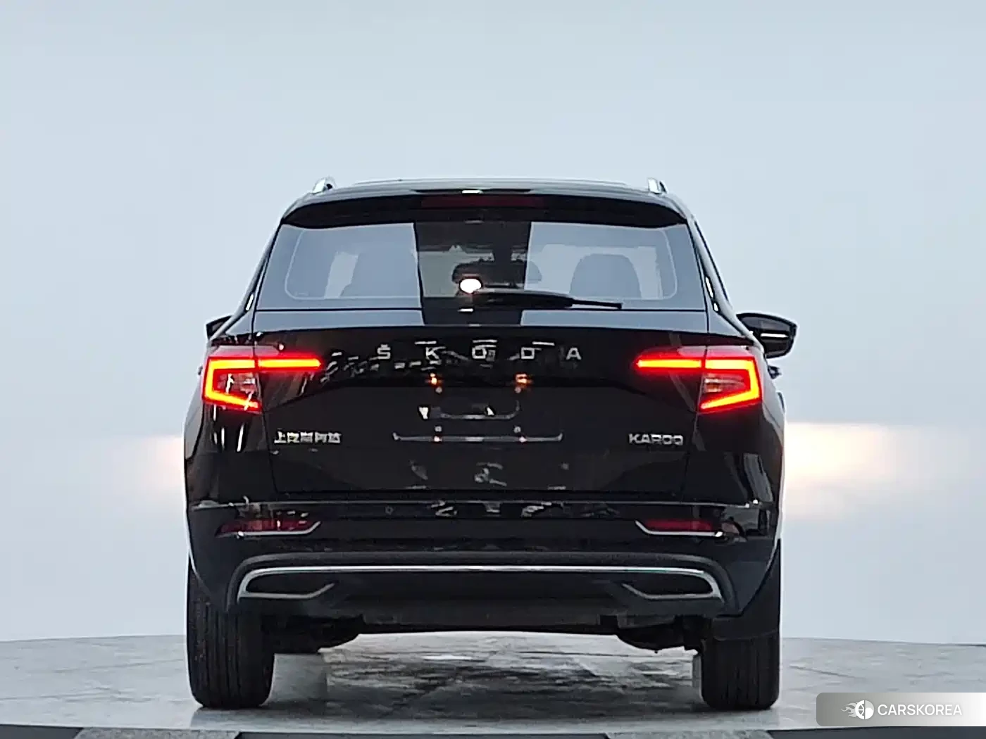 Skoda Karoq id 4629580 из Китая 18