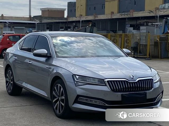 Skoda Speed pie id 4253843 из Китая 14
