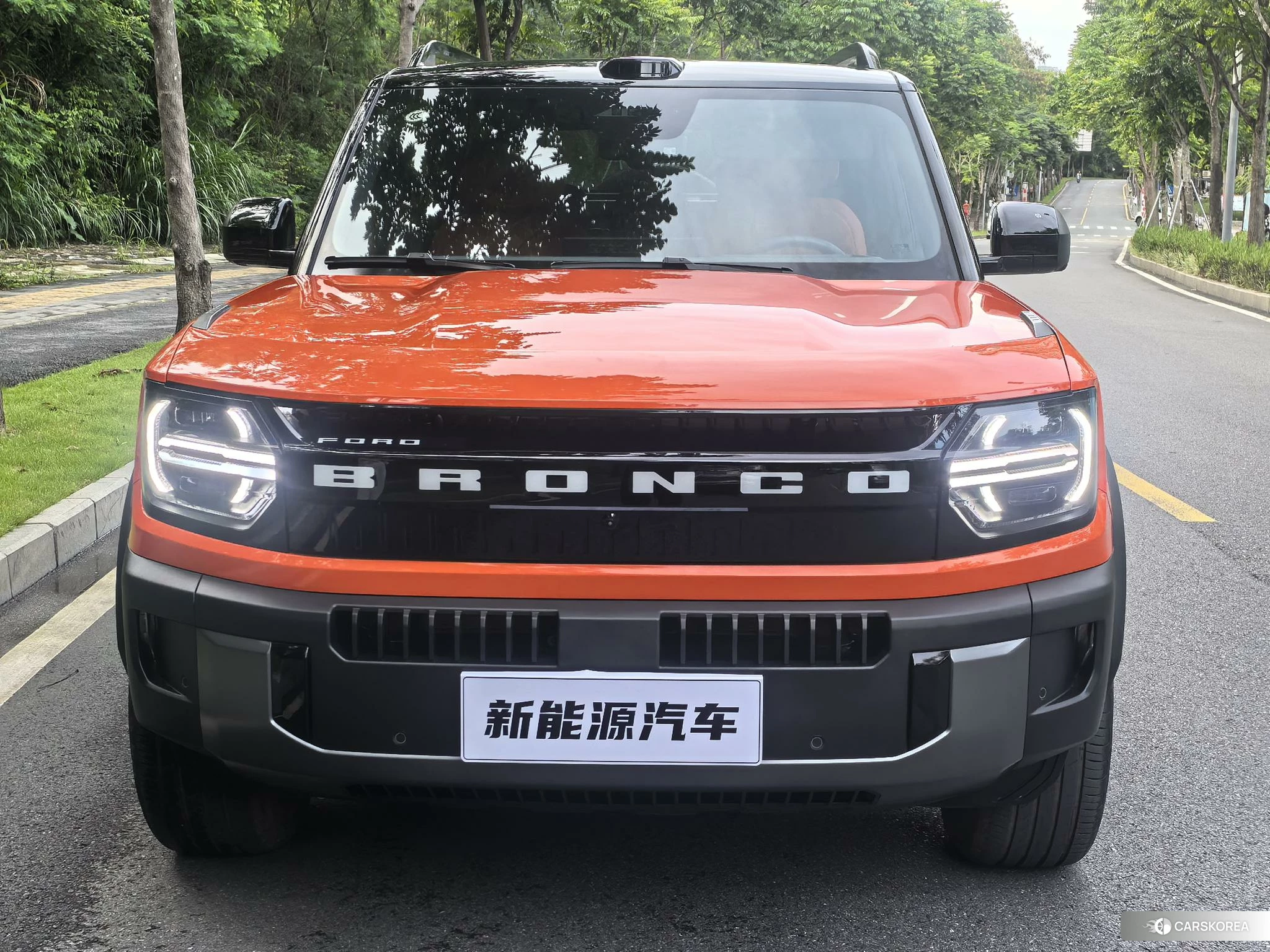 Ford Zhiqu Lie Ma id 4485529 из Китая 23