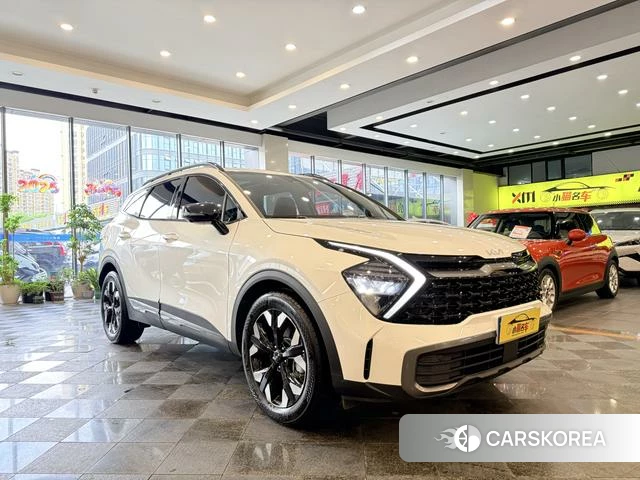 Kia Lion Platinum expands the world id 4297723 из Китая 36