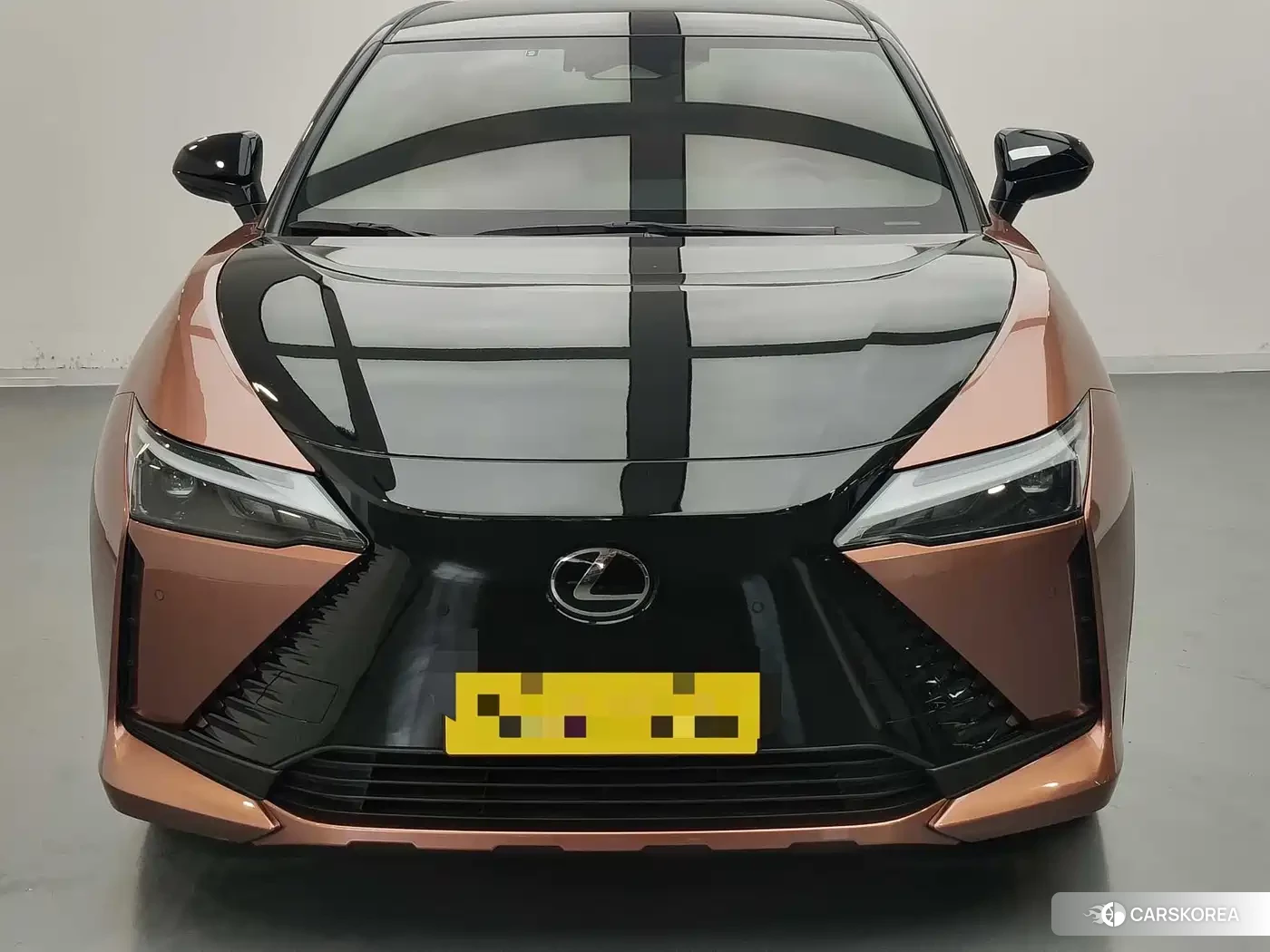Lexus RZ id 4599753 из Китая 19