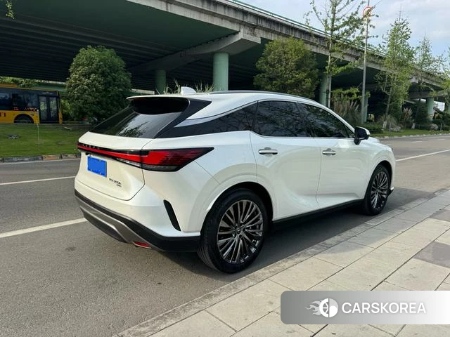 Lexus RX id 4262026 из Китая 15