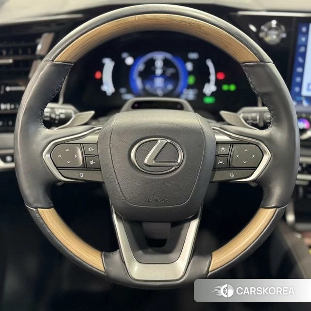 Lexus RX PHEV id 4274623 из Китая 25