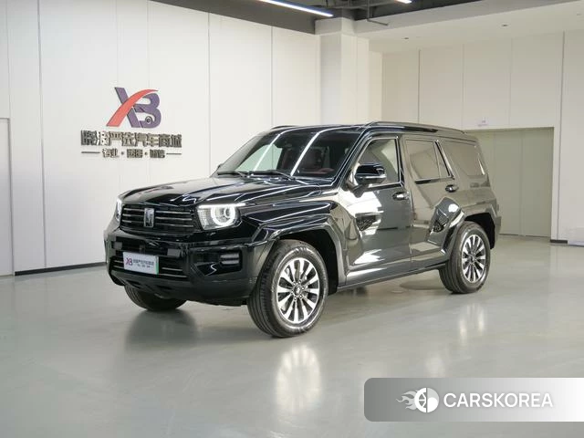 Tank 700 Hi4-T id 3957866 из Китая 20