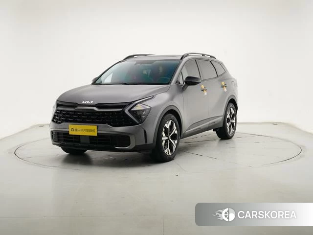 Kia Lion Platinum expands the world id 4259377 из Китая 28