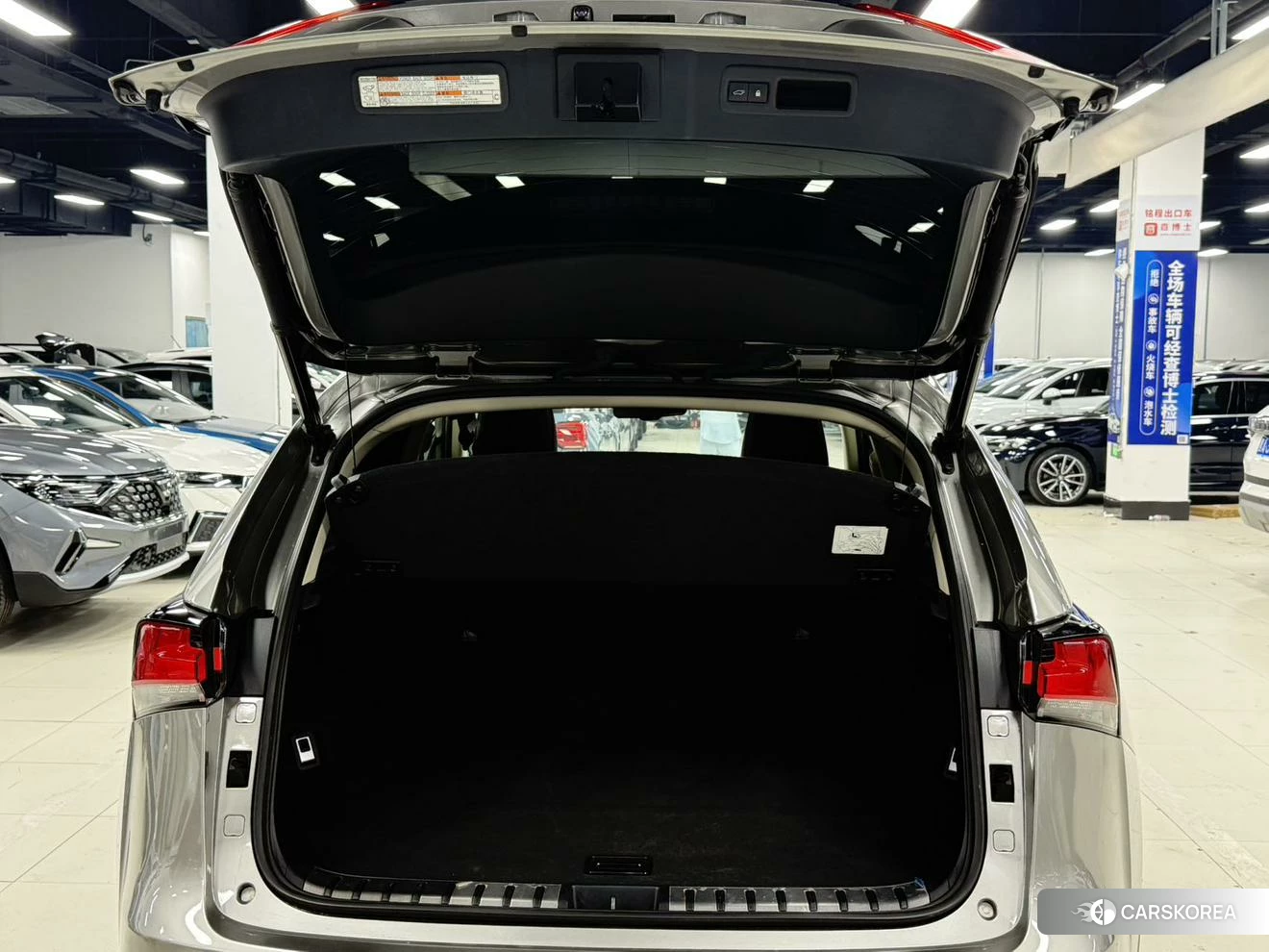 Lexus NX id 4515157 из Китая 22