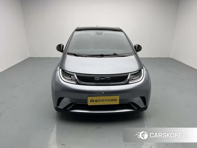 BYD dolphin id 4236414 из Китая 20