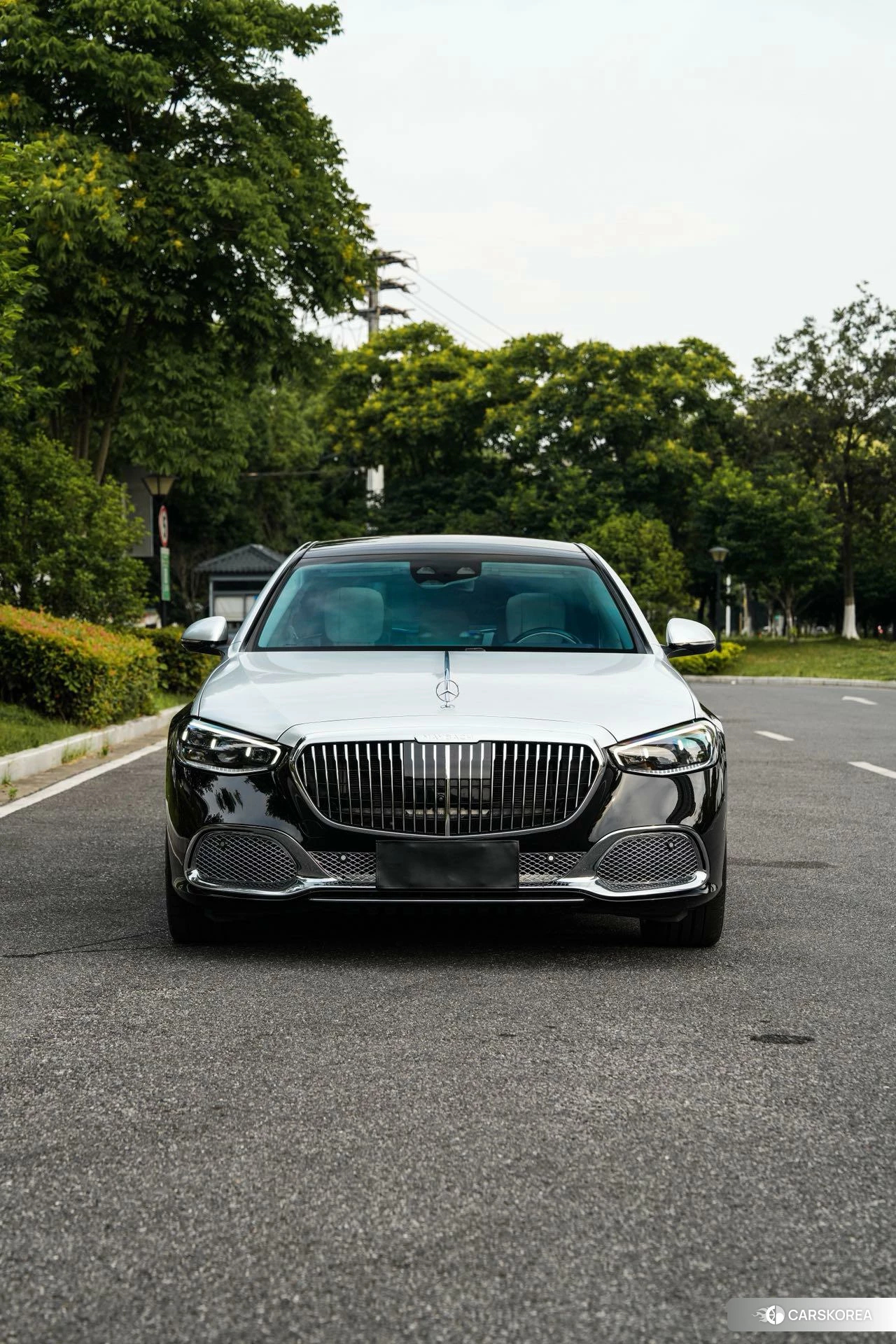 Mercedes-Benz Maybach S-class id 4421173 из Китая 17
