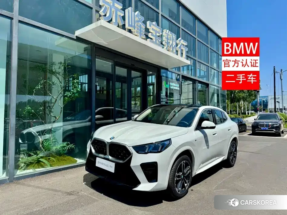 BMW X2 id 4649257 из Китая 10