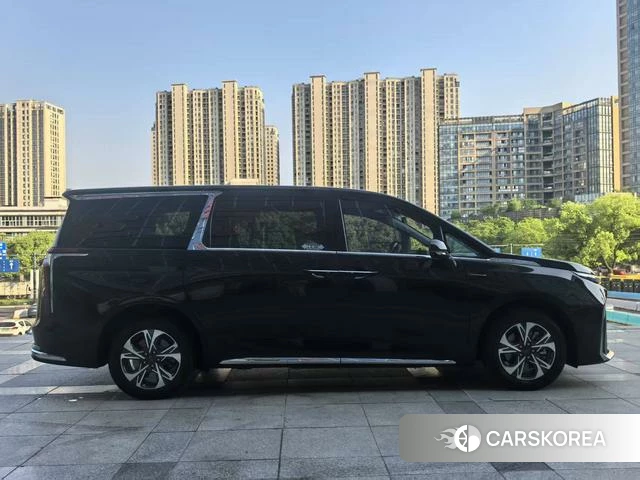 Chase Everyone 9 EV id 4211747 из Китая 18