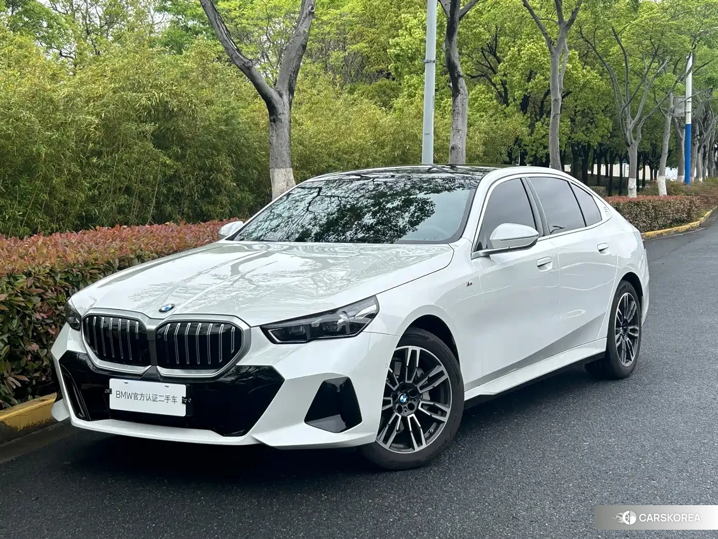 BMW 5 series id 4548285 из Китая 13