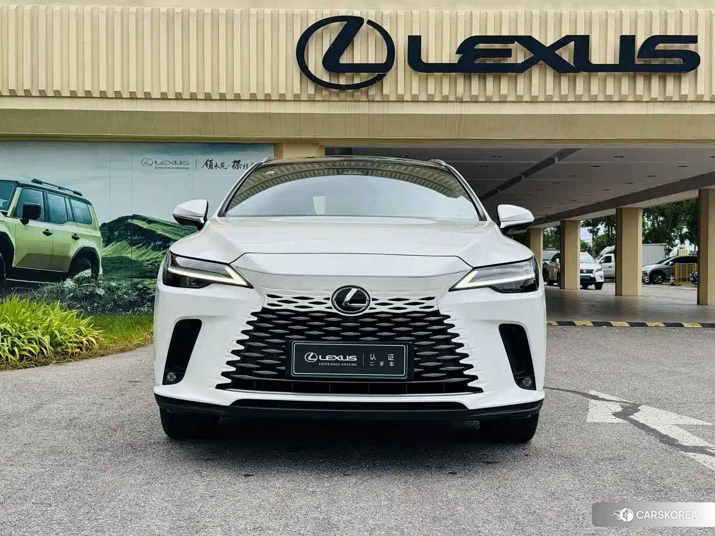 Lexus RX id 4599563 из Китая 10