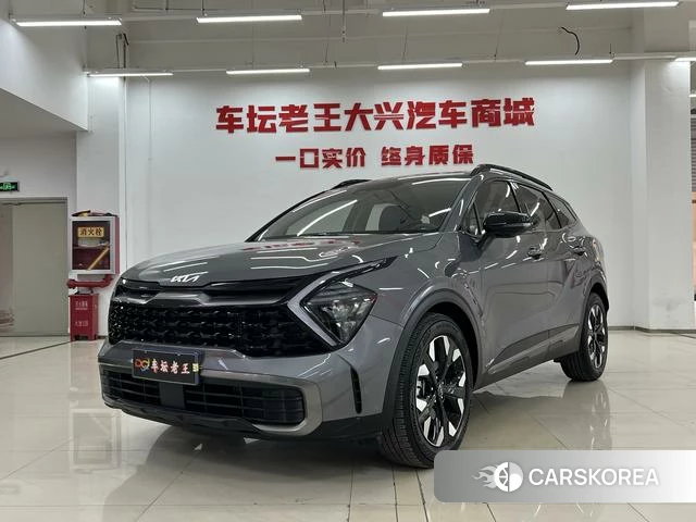 Kia Lion Platinum expands the world id 4262482 из Китая 11