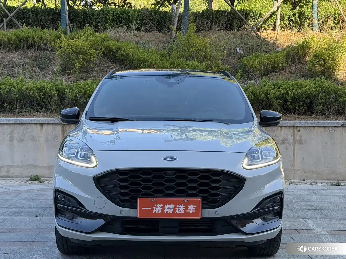 Ford Ruiji id 4515505 из Китая 13