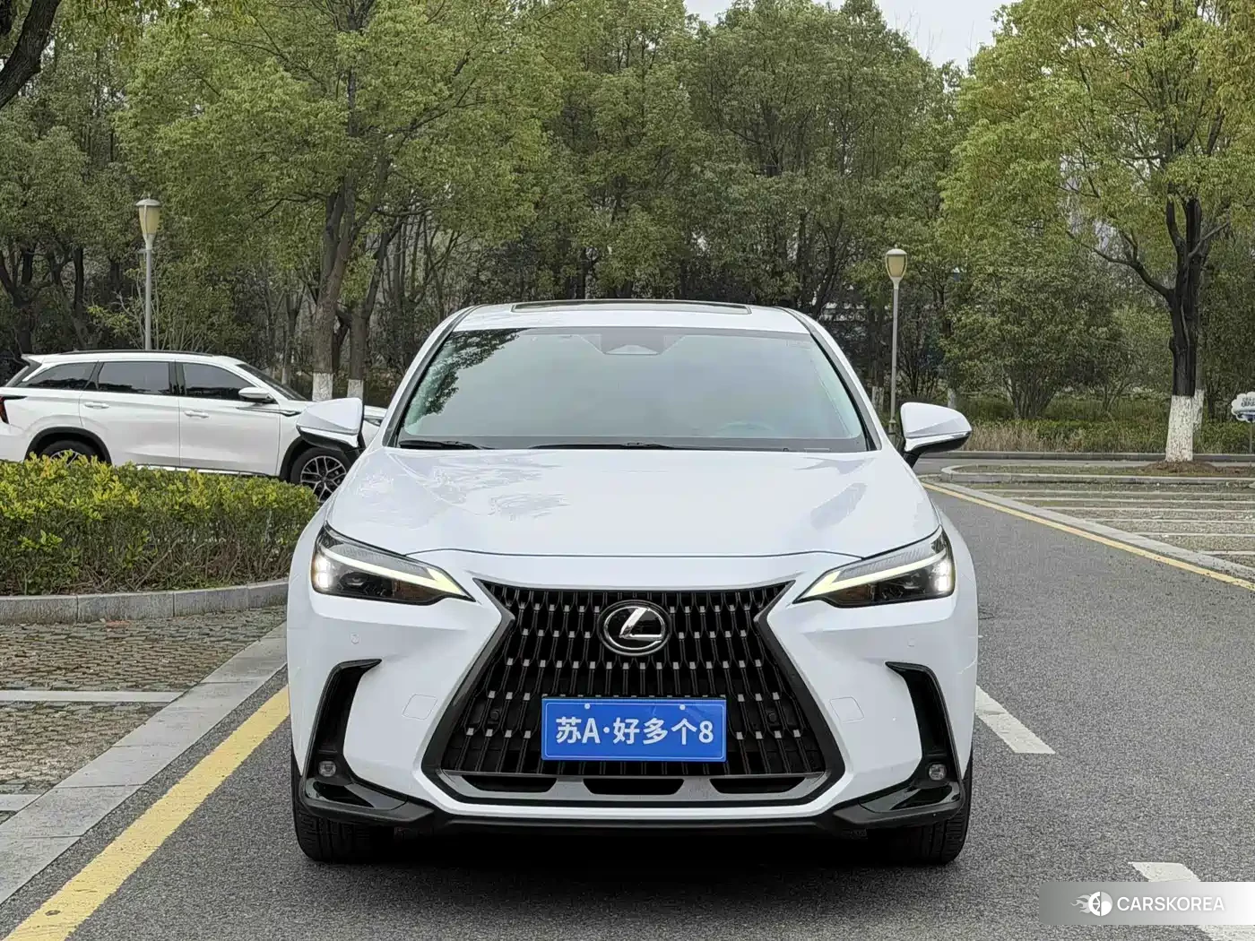 Lexus NX id 4622535 из Китая 18